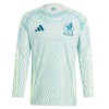 Original Fußballtrikot Mexiko Auswärtstrikot 2024 Langarm Für Herren